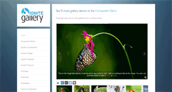 Desktop Screenshot of ignitegallery.com